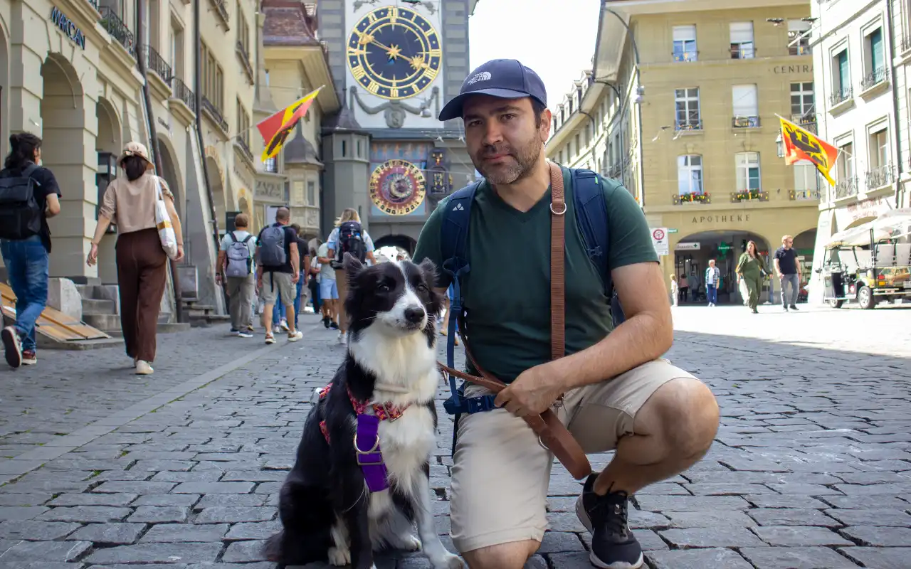 que necesito para viajar con perro a suiza