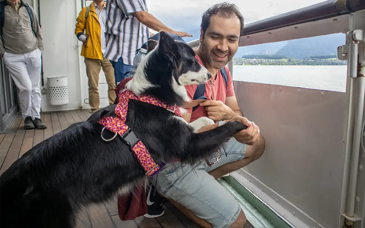 viajar a suiza con perro