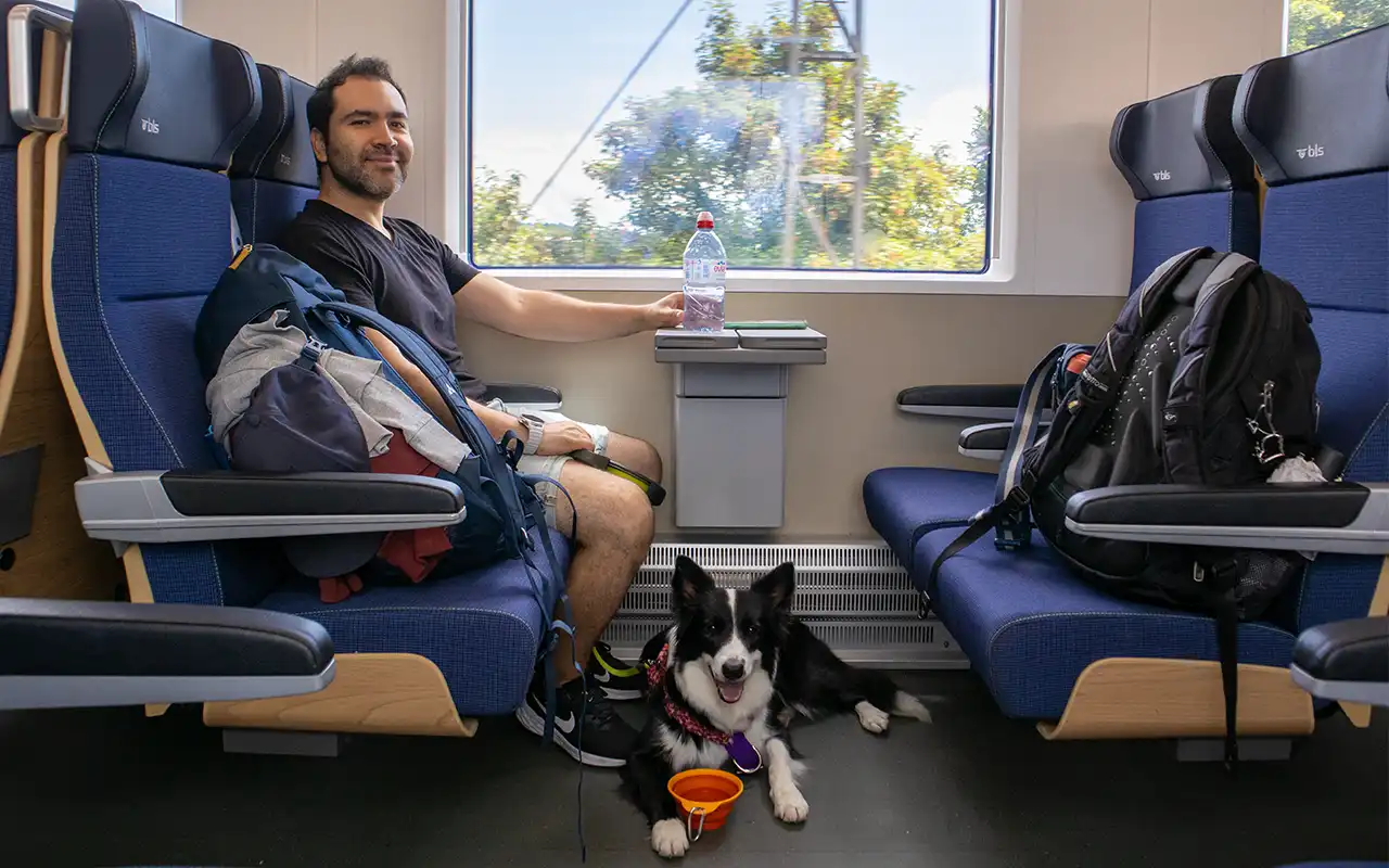 viajar con mascota a suiza