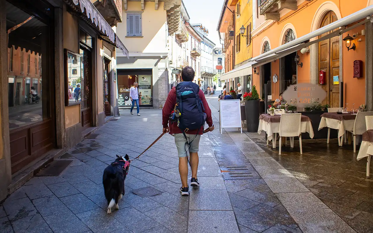 viajar con perro a suiza desde italia