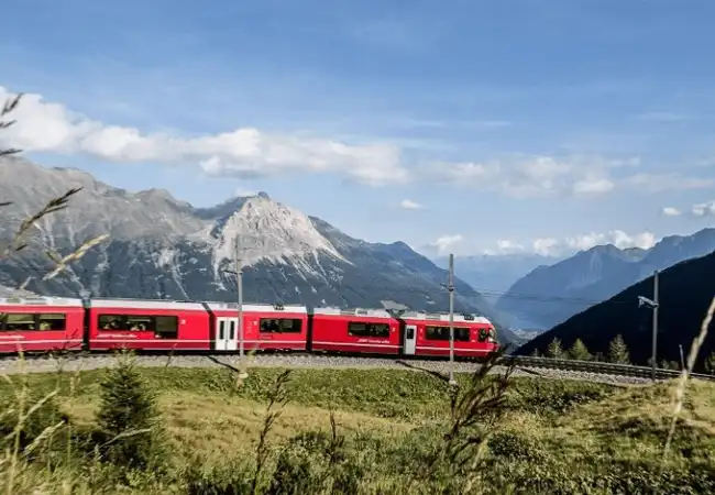 alp grum alp grum